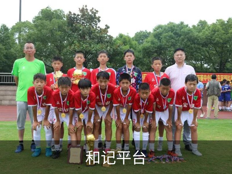 和记平台概况
